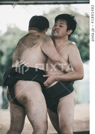 Sumo wrestling 41891482