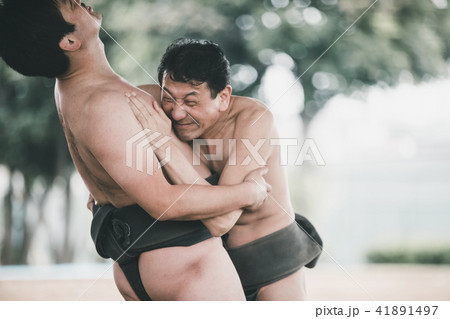 Sumo wrestling Sumo wrestling 41891497