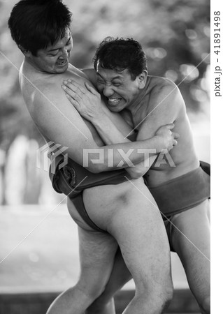Sumo wrestling Sumo wrestling 41891498