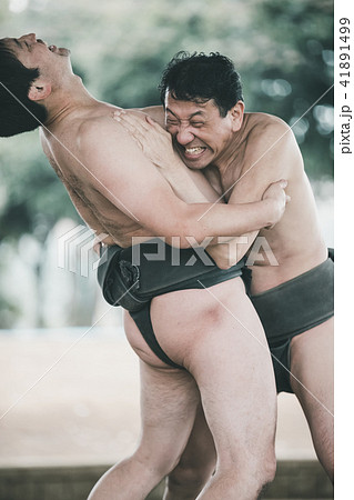 Sumo wrestling Sumo wrestling 41891499
