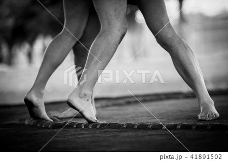 Sumo wrestling Sumo wrestling 41891502