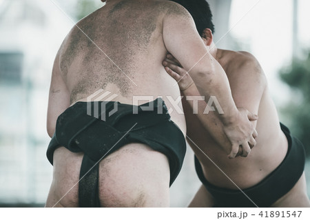 Sumo wrestling 41891547