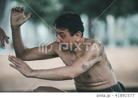 Sumo wrestling Sumo wrestling 41891577