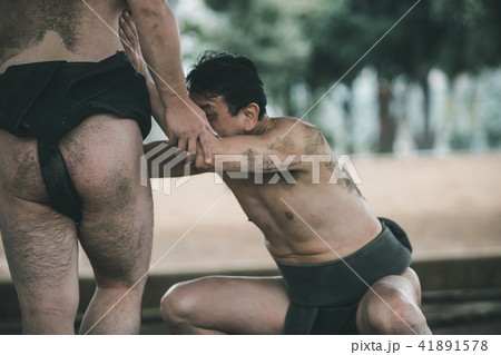 Sumo wrestling Sumo wrestling 41891578