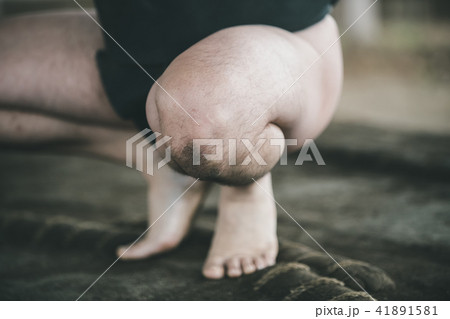 Sumo wrestling 41891581