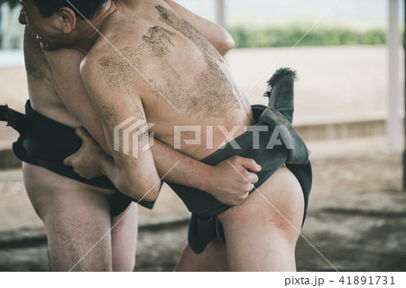Sumo wrestling 41891731