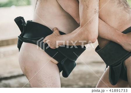 Sumo wrestling 41891733