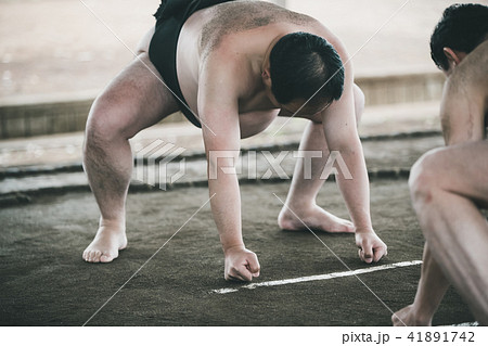 Sumo wrestling Sumo wrestling 41891742
