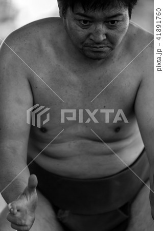 Sumo wrestling 41891760