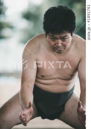 Sumo wrestling Sumo wrestling 41891761