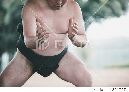 Sumo wrestling Sumo wrestling 41891767