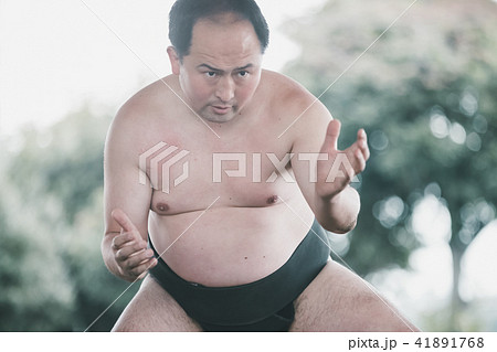 Sumo wrestling Sumo wrestling 41891768