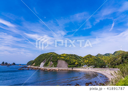 （静岡県）石廊崎　蓑掛岩付近の海岸線 41891787