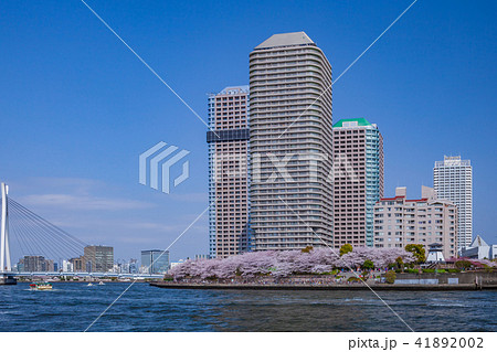 桜咲くウォーターフロント 41892002
