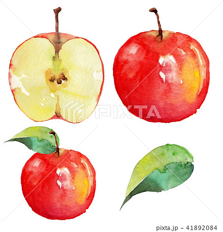りんご 水彩画イラストのイラスト素材 41892084 Pixta