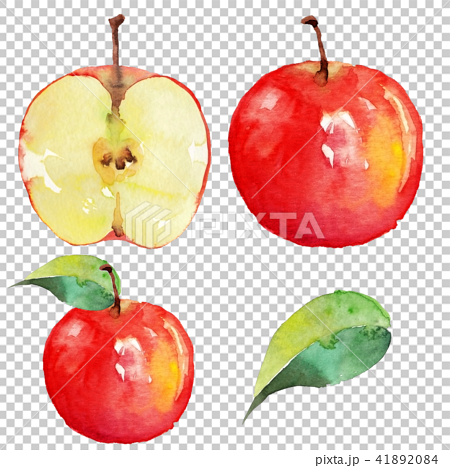 りんご 水彩画イラストのイラスト素材 4184
