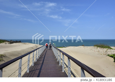 新北市 北海岸 爽快 41893186