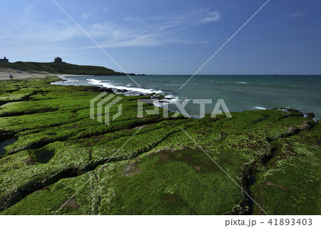 新北市 北海岸 すがすがしさ 41893403