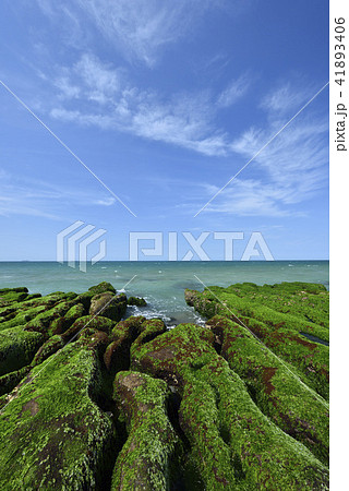 海沿い 沿岸 沖合 41893406