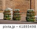 Decorative floral columns in Piacenza, Italy 41893498