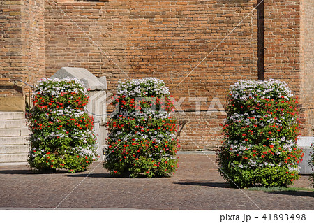Decorative floral columns in Piacenza, Italy 41893498