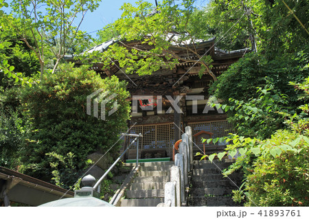 渋温泉　渋高薬師 41893761