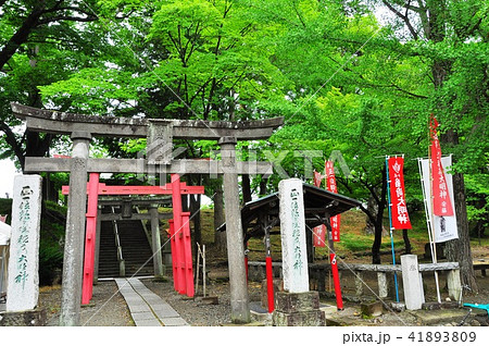 会津若松 鶴ヶ城の笠間稲荷神社鳥居 会津若松 鶴ヶ城の笠間稲荷神社鳥居 41893809