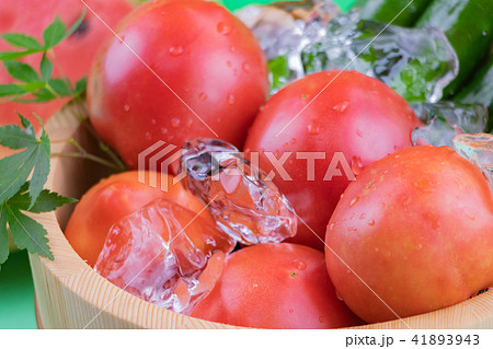 旬の夏野菜 自家製野菜 旬の夏野菜 自家製野菜 41893943