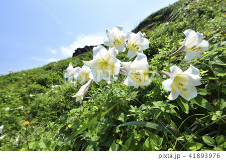 新北市 北海岸 爽快 41893976