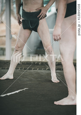 Sumo wrestling Sumo wrestling 41894508