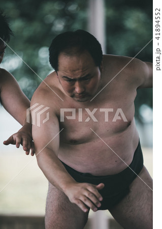 Sumo wrestling Sumo wrestling 41894552