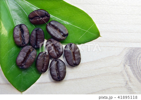 コーヒー 豆 マクロ 41895118