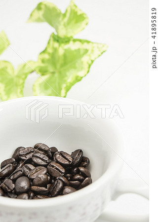 【コーヒー豆】 【コーヒー豆】 41895819