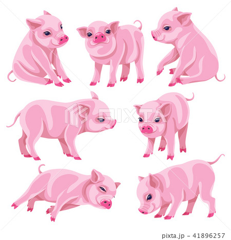 Set of Pink Micro Pigs in Moving 41896257