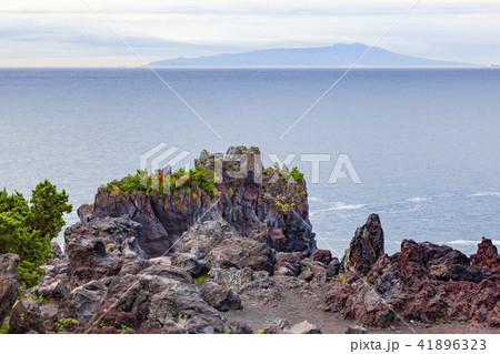 門脇埼から大島を望む、静岡県伊東市城ケ崎海岸にて 41896323