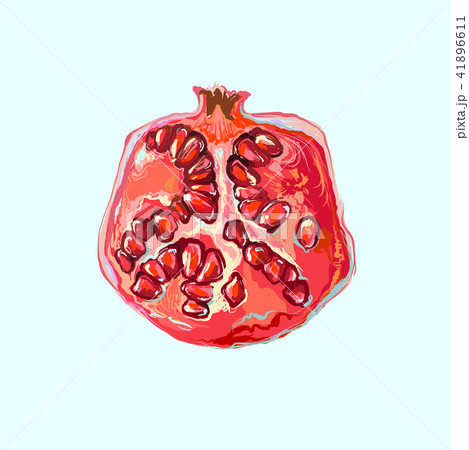 Half pomegranate with seeds, hand drawn fruit isolated on light background. Realistic vector 41896611