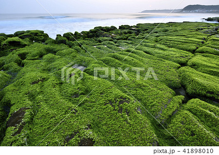 海沿い 沿岸 沖合 41898010