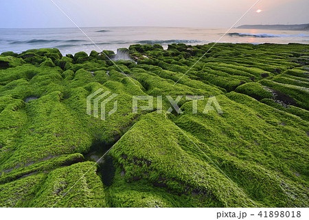 新北市 北海岸 すがすがしさ 41898018