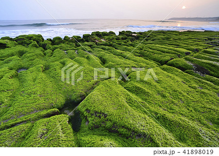 新北市 北海岸 すがすがしさ 41898019