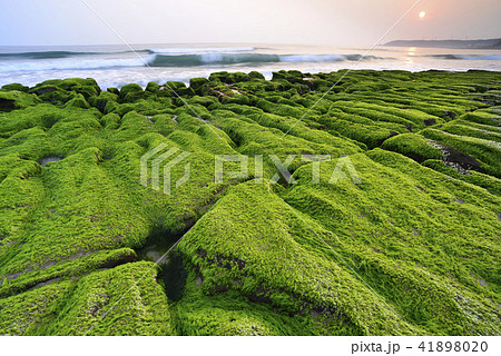 新北市 北海岸 すがすがしさ 41898020