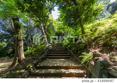 芝公園の風景 41899087