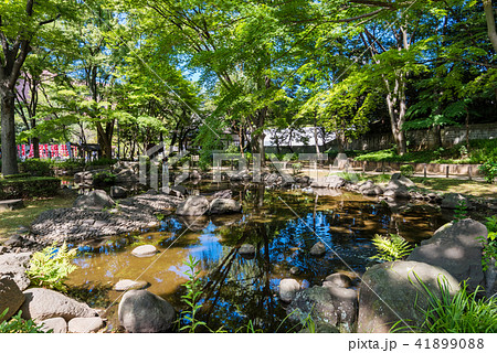 芝公園の弁天池 41899088