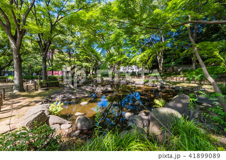 芝公園の風景 41899089