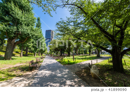 芝公園の風景 41899090