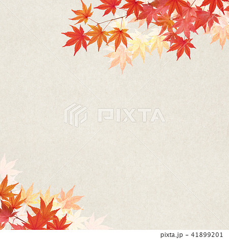 和-背景-秋-紅葉 41899201