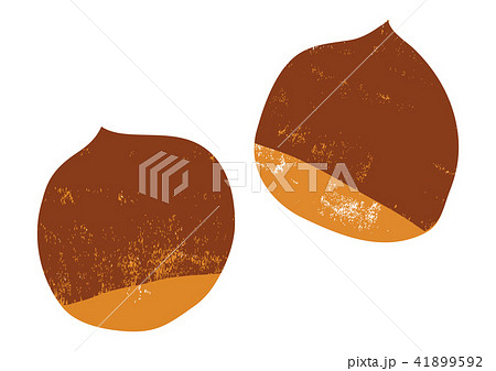 栗　水彩画 41899592