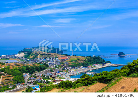 南串山　棚畑（ジャガイモ畑）　【長崎県雲仙市】 41901796