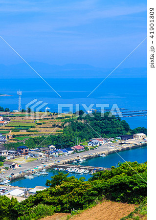 南串山　棚畑（ジャガイモ畑）　【長崎県雲仙市】 41901809