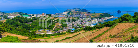 南串山　棚畑（ジャガイモ畑）　パノラマ　【長崎県雲仙市】 41901810