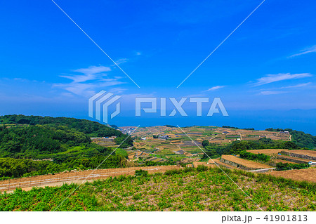 南串山　棚畑（ジャガイモ畑）　【長崎県雲仙市】 41901813